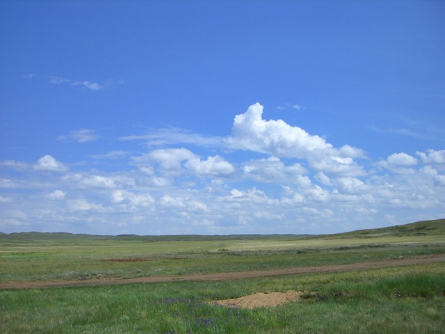 カザフスタンの大草原