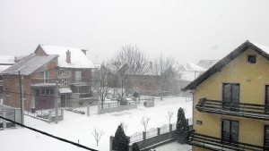 ベオグラードの初雪２
